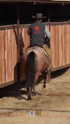 Nick Dowers' stopping playbook is now available to watch on X Factor Roping! For even more instructional videos from Nick, visit his website https://nickdowers.com/ cowboy-week/. | X Factor Roping