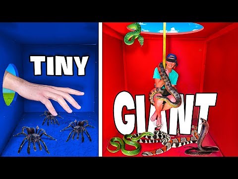 What’s in the Box? TINY vs GIANT