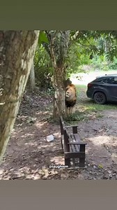 300K views · 3.9K reactions | Perfect example of wild card entry  | Laughism | Facebook