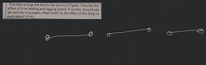 You have a drug that blocks the activity of ligase. Describe th... | Filo