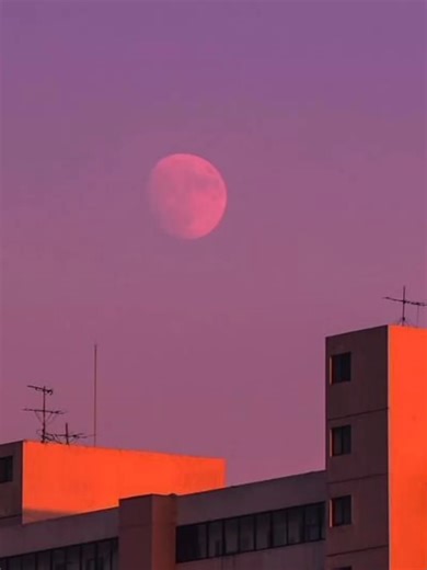 Aesthetic Video Showcase: Moods and Themes