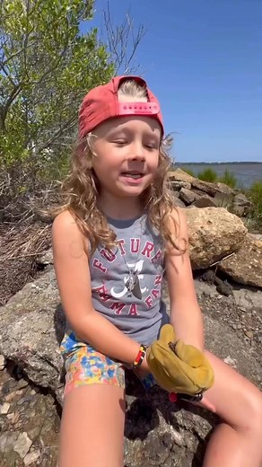 Look what we found, Narrow mouth toads! 🐸 Here’s a quick little lesson! #toads #narrowmouthtoad #frogs #animallover | KOBE EATS