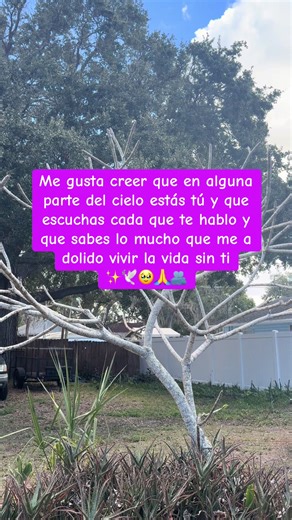 Ale Ortega Rodriguez (@aleortegarodrigue)’s videos with sonido original - Luis López