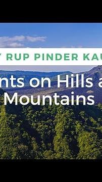 plants in hilly areas|plants on hills|mountain plants names|mountain plants adaptation| easy way