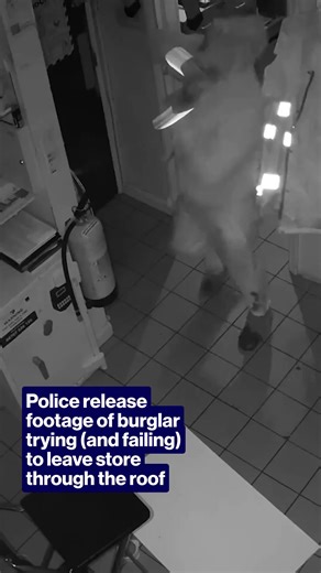 The Project on Instagram: "No, this is not a comedy sketch, the thief tries multiple times to leave via the roof... and just keeps on falling."