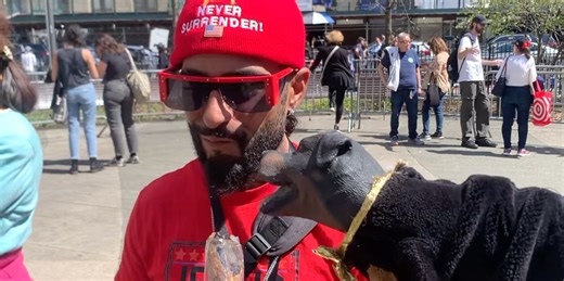 Triumph The Insult Comic Dog Asks Trump Supporters What Crime They'll Ignore Most
