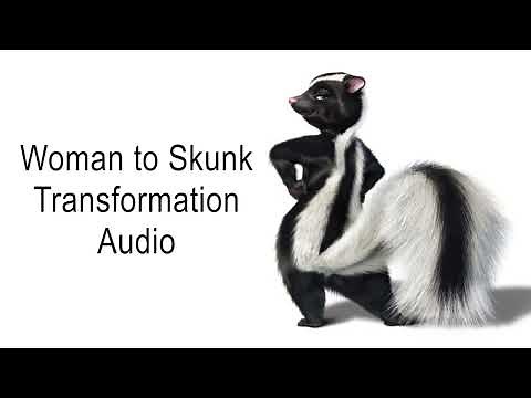 Woman to Skunk Transformation Audio