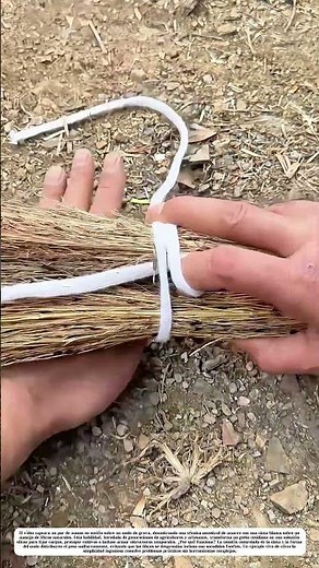 Atar sin deshacerse: Cómo un nudo simple resiste el viento y el tiempo