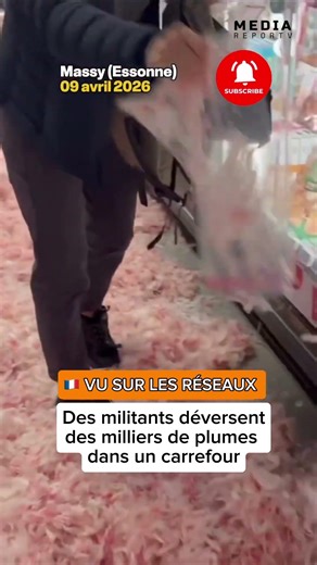 Massy : des militants déversent des milliers de plumes dans un carrefour 🪶