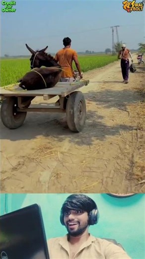 😱 Unexpectedly Funny Moments 😂🔥‪@viralbolt‬#funny #comedy #trendingnow #shorts #tiktok #ytshorts