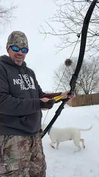 60 yards with Hoyt Satori Instinctive