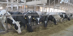 Farmers helping farmers following St. Albans fire