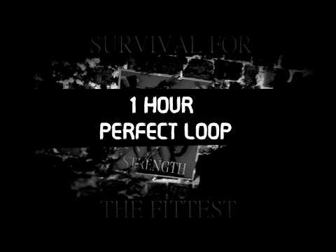 Survival For The Fittest (Slasher VS Guest 1337 LMS) | 1 HOUR PERFECT LOOP