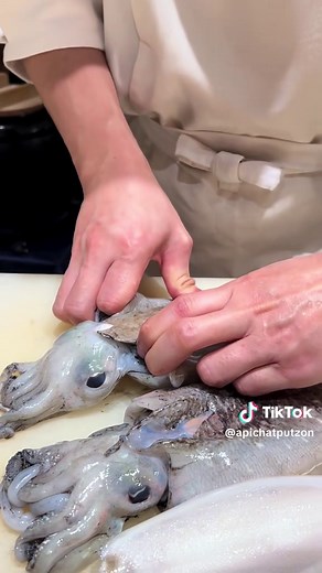 How to Fillet and Clean Sumi Ika for Sushi