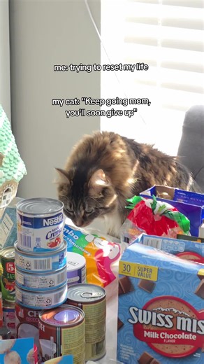 WHY DO WE HAVE SO MUCH STUFF in the house. I know this is a first world problem but omg we are a mess😭 #2026reset #declutter #happynewyear