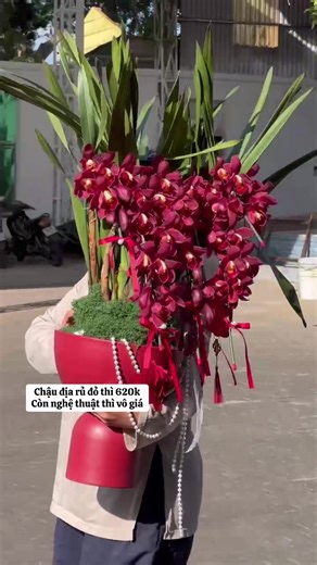 Các lan thủ định giá cho em chậu này với ạ?