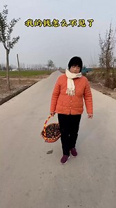 Top Funny Videos Part 637 | Funny Happy