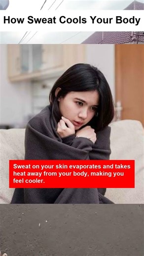 How Sweat Cools Your Body - OTOMOTIPS