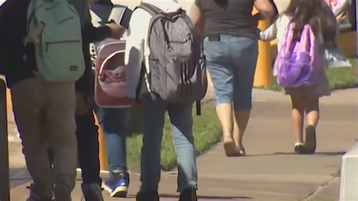 Houston-area disability rights advocates express concern over lawsuit targeting Section 504