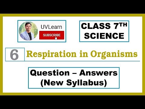 Class 7 Science Chapter 6:Respiration in Organisms | Short & Easy | Question-Answers (New Syllabus)