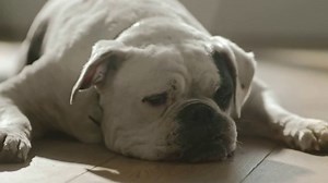 Bona Quick Clean System TV Spot, 'Relax and Enjoy'