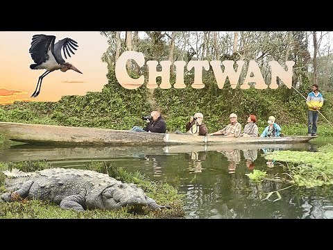Nepal - Jungle Safari in Chitwan National Park