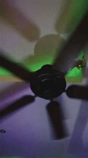 Minka Aire Contractor Startup