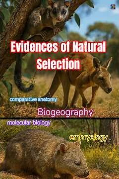 6 Powerful Evidences of Natural Selection