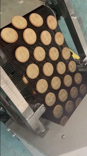Industrial Biscuit Manufacturing Machines Factory & Supplier