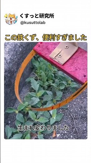 捨てるノコギリが便利すぎる道具になった
