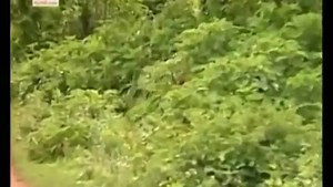 14K views · 90 reactions | GET OUTTA MY WAY! Bike commuters have it...