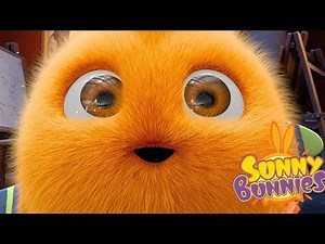 Cartoons for Children | Sunny Bunnies BEST OF SEASON 1 | Funny Cartoons For Children