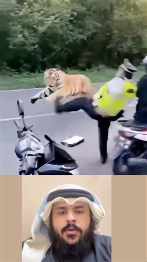 نمر يندفع نحو الناس، لكنّه لا يؤذي أحدًا، سبحان الله. #deepquotes