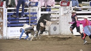 Editorial Cowboy Riding Big Bull At Prca Stock Footage SBV-303306347 - Storyblocks