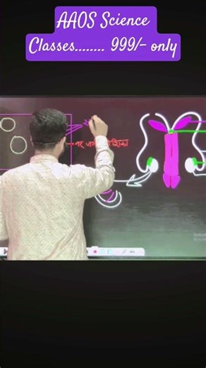 Class 12th Biology || Human Reproduction || important topic|| full video on yt | comment for link 🖇️