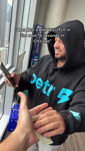 We can confirm that bird watching is bettable #handshakebets #birds #chicago #bets #city #chicagotiktok #citylife #cityboys #dudes #bored #chillin #sportsbettingtiktok #bet #challenge #pigeon #birdsoftiktok