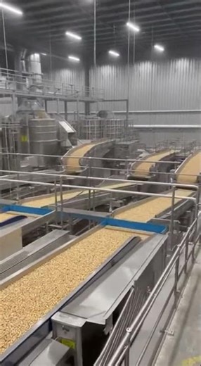 How Peanuts Are Processed in Modern Factories #factoryprocess #howitsmade #satisfyingvideos