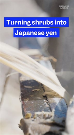 Here's how #farmers in #Nepal turn shrubs into Japanese currency. #yen #money | Business Insider