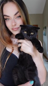 🖤🖤🖤 #goldenwhiskerscattery #blackcat #black #scottishfold #kitten #cute #🖤 #wearblack | Golden Whiskers
