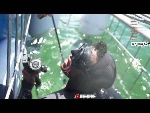 irl Shark Diving stream in South Africa 🦈