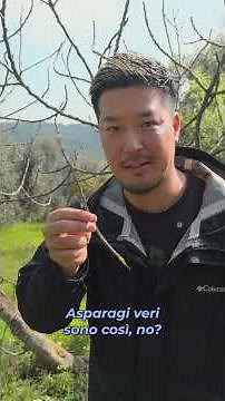 Challenge in Italy | Japan vs. Puglia