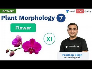 Plant Morphology - L 7 | Flower | Class 11 | Unacademy NEET | Live Daily | Botany | Pradeep Sir