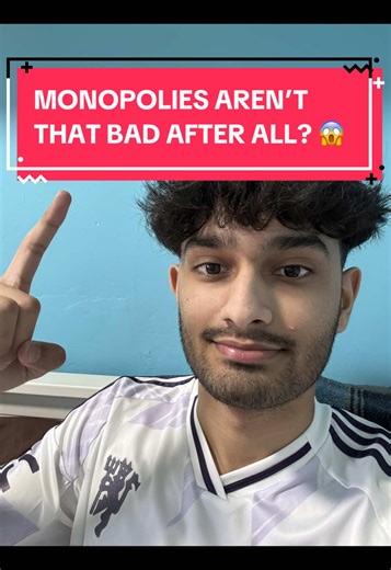 Are Monopolies Really That Bad? Exploring Economics