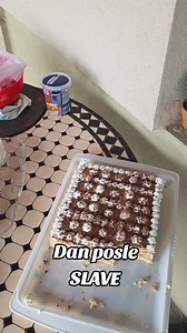 #kobasica #debeli #HUGESTAFF #kobasica #hugestaff #restoran #restoran #restoran #restora #hugestaff | Hugestaff Vlogs