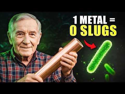 This $4 Copper Strip STOPS Garden Slugs INSTANTLY: The "Earth Battery" Secret