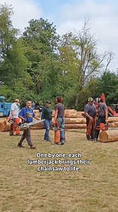 Loggers in the wild 🪵 | The Logger League