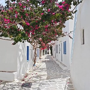 Les îles grecques vous dévoilent leurs paysages de rêve… 🌊☀️ Découvrez nos suggestions de circuits et exemples de prix : https://www.capvoyages.com/destinations/grece/beaute-des-iles-grecques-16-jours/ Personnalisez votre voyage sur mesure : Échangez avec nos conseillers pour créer un voyage qui vous ressemble, à votre rythme et selon vos intérêts ! Réservez dès maintenant : Par courriel à cap@capvoyages.com Par téléphone au (514) 728-4553 En ligne via le formulaire de demande de cotation sur w