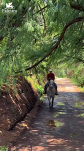 164K views · 3.5K reactions | Parque El Sabinal | Palestra Aguascalientes | Facebook