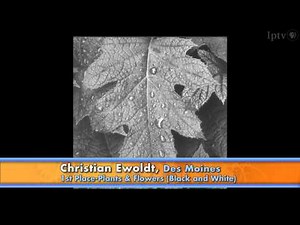 Award-Winning Photography - Iowa State Fair 2010