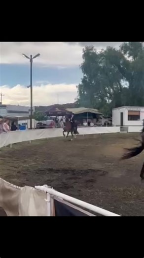 Still getting there and figuring each other out. No matter what this mare does in the show ring she does not give up on her, she keeps on going into a class on every show eventhough she gets excused, or no placement. When you know your horses potencial there is no reason to give up until you achieve your goals. @🌺Simoné Pollard🌺 & Ever B-Delight #CapCut #fyp #saddlebred #parkhorse #mare